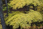 Thumbs/tn_7RM08985.jpg