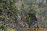 Thumbs/tn_7RV05271.jpg