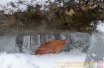 Thumbs/tn_7R507011.jpg