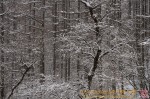 Thumbs/tn_7R507200.jpg