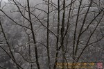 Thumbs/tn_7R508532.jpg