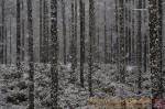 Thumbs/tn_7R508973.jpg