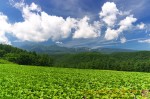 Thumbs/tn_DSC07966.jpg