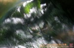 Thumbs/tn_DSC05382.jpg