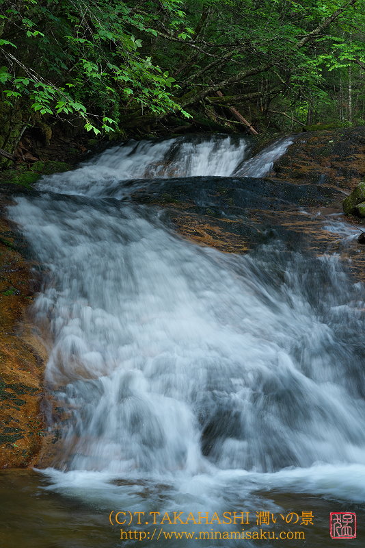 ../Images/23_daidai.jpg