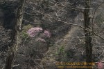 Thumbs/tn_7RM02027.jpg