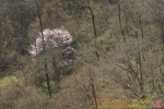 Thumbs/tn_7RM02061.jpg