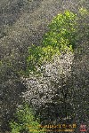 Thumbs/tn_7RM02565.jpg