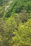Thumbs/tn_7RM02806.jpg