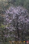 Thumbs/tn_7RM06116.jpg