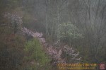 Thumbs/tn_7RV04844.jpg