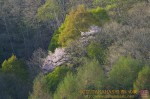 Thumbs/tn_7RV05226.jpg