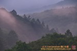 Thumbs/tn_7RM08458.jpg