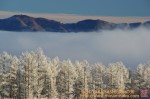 Thumbs/tn_DSC00093.jpg