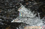 Thumbs/tn_DSC01449.jpg